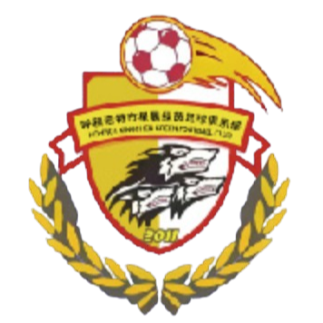 呼和浩特星晨绿茵logo
