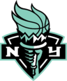 纽约自由人logo