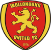 卧龙岗联logo