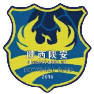 陕西陕安logo