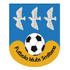 斯米尔泰logo