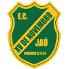 德昭青年队logo