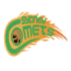 悉尼彗星女篮logo