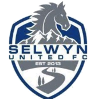 塞尔温联合logo
