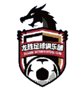 南京龙胜logo
