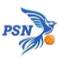 PSN女篮logo