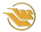 武汉吴家山中学女足logo