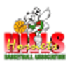 山丘黄蜂logo