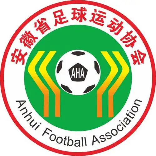 合肥U18女足logo