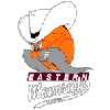 东部小牛女篮logo